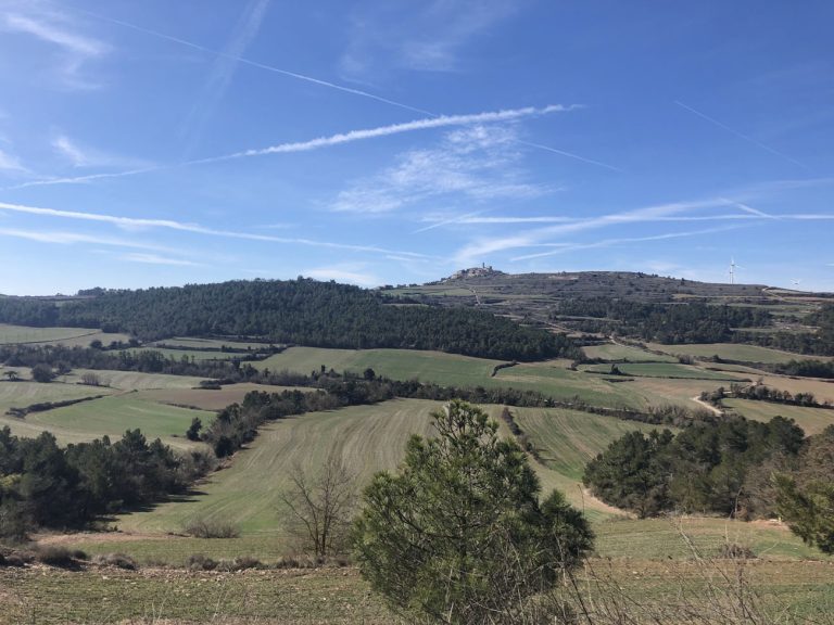 Carta Del Paisatge De La Conca