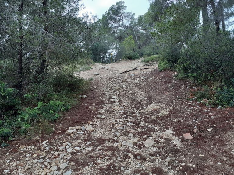 Pla De Prevencio Incendis Forestals Del Terme Municipal De Tarragona